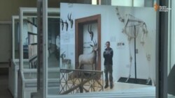 Život u zatvorenom muzeju Život u zatvorenom muzeju