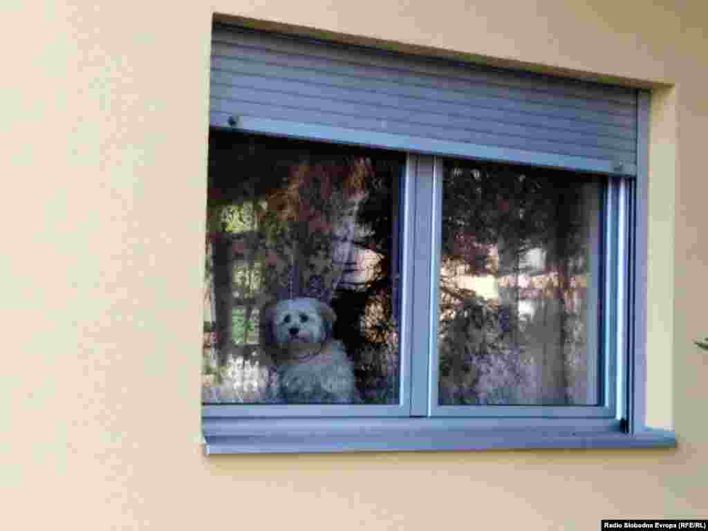 "Gde su nestali svi ti ljudi?" Jutro u Nišu u Igmanskoj ulici.