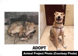 ქუჩაში ცხოვრების დროს და შემდეგ