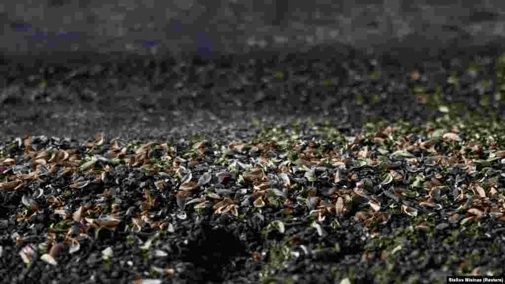 U sada već isušenom dijelu jezera vide se školjke.