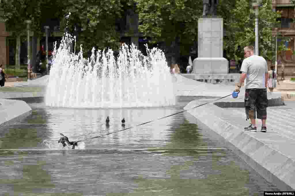 Goran Pejanović, pomoćnik direktora Republičkog hidrometeorološkog zavoda (RHMZ), za Radio Slobodna Evropa (RSE) navodi da su u pitanju ekstremne temperature koje su posledica klimatskih promena.