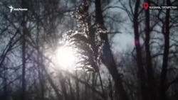 Русско-Немецкая Швейцария: город наступает Русско-Немецкая Швейцария: город наступает