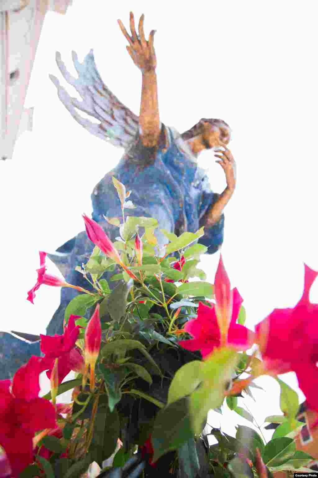 Албано Поли. "Голубой ангел" 