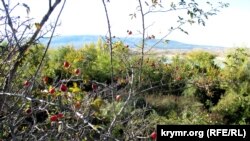 Белогорский район, иллюстрационное фото