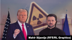 Mnogi nuklearni stručnjaci pozdravili su ideju o prisustvu SAD u ukrajinskim nuklearnim elektranama, posmatrajući to kao čvrstu garanciju bezbjednosti, kao i pozitivan korak u preorijentaciji ukrajinske nuklearne snage od Rusije ka Zapadu.