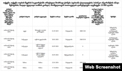 ამონარიდი თიკა რუხაძის დეკლარაციიდან