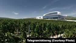 За винодельней "Скалистый берег" стоят бизнес-структуры, связанные с семьей Дмитрия Медведева