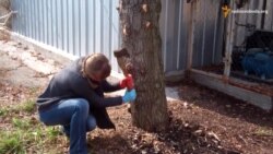Дніпропетровські волонтери створюють реабілітаційний центр для бійців АТО Дніпропетровські волонтери створюють реабілітаційний центр для бійців АТО