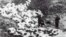 Ukraine -- Shooting of Jewish in Baby Yar, 1941
