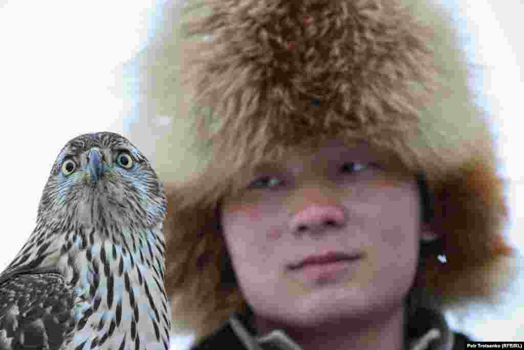 Мисливець і сокіл-балобан під час змагань беркутчі «Сонар-2020»