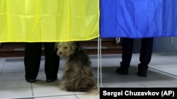 У МЗС України вважають, що офіційним спостерігачам від держави-агресора не місце у спостереженні за виборами в Україні