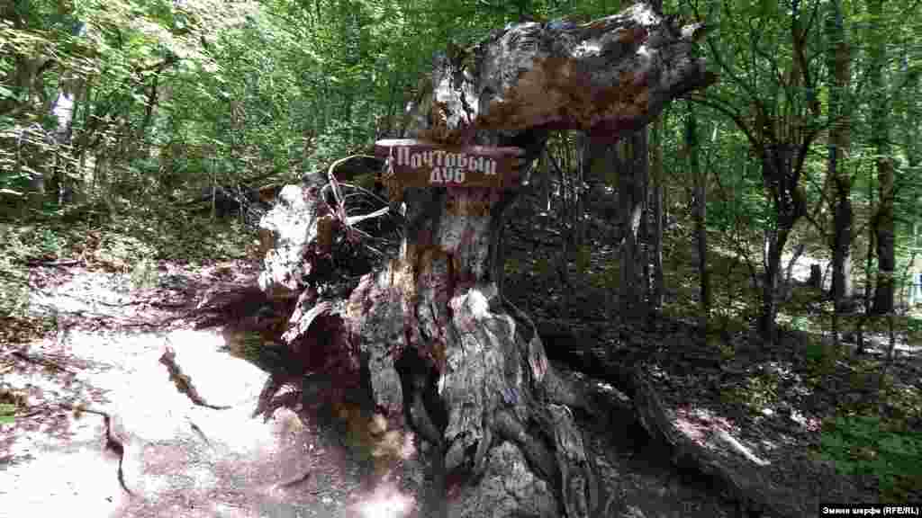 «Почтовый дуб» – первая достопримечательность ущелья. Огромное дерево в былые времена был почтовым ящиком для туристов. Здесь оставляли записки с пожеланиями и впечатлениями. Дерево погибло в 1981 году, предположительно, от удара молнии. На фото  – остатки дерева