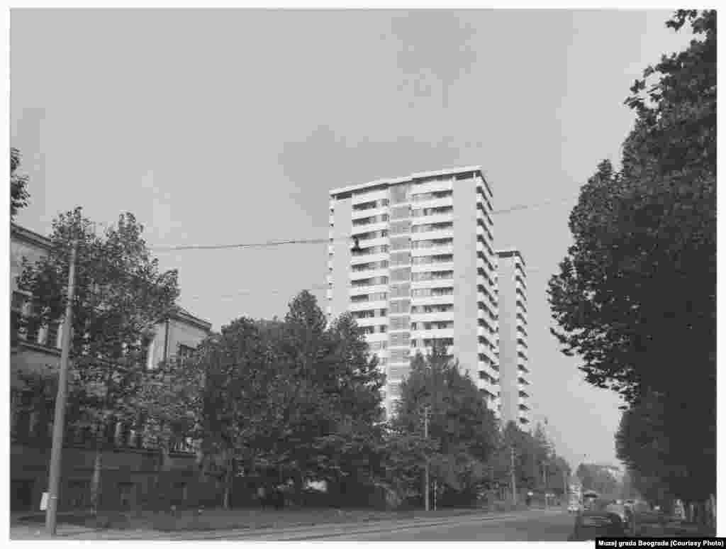 Ulica Džorža Vašingtona na fotografiji levo 1964. godine. O drveću u Beogradu ovako je govorio čuveni pesnik i novinar Duško Radović: “Predlažemo da se uvede čitulja i za drveće, da se oglasi smrt svakog beogradskog drveta, sa podacima o uzroku smrti: Ovaj bagrem umro je od bolesti, ovaj hrast od starosti, a ova topola od dušmanske ruke.”