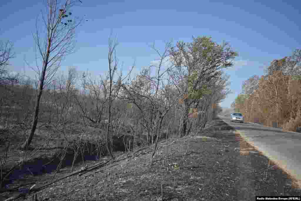 Zbog jakog vjetra, požar se proširio preko puta do voćnjaka u Donjem Perovu.