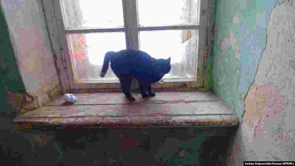 Но всему виной — состояние зданий, которые при должном подходе и внутри могли бы выглядеть совершенно иначе. 