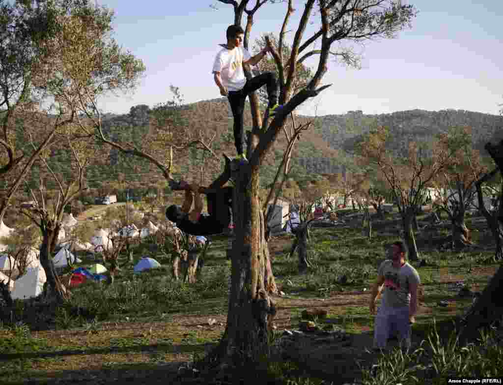 Эти три иранца находятся в лагере на острове Лесбос очень давно. Один из них, Алиреза Хоссейни (в центре), говорит: "Мы будем ждать здесь и год, и два, но в Иране точно не вернемся никогда".