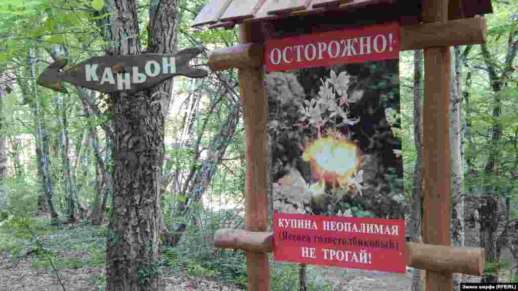 Информационный стенд в начале пути предостерегает об опасности местного растения – ясенца. Ясенец в большом количестве выделяет эфирные масла и может с легкостью вспыхнуть от искры, или зажженной спички