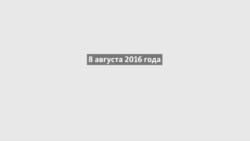 Сирия, пенсионный возраст и налоги. Что влияет на падение рейтинга Путина? Сирия, пенсионный возраст и налоги. Что влияет на падение рейтинга Путина?