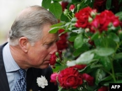 Čarls u Londonu 2009. godine