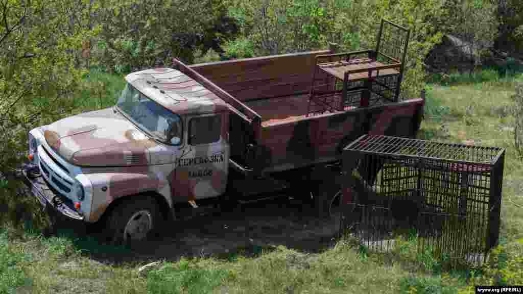 А это – «такси» для больших кошек. На случай, если животных нужно будет перевозить