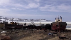 Есть ли жизнь на Колыме (видео) Есть ли жизнь на Колыме (видео)