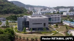 Laboratorija Instituta za virologiju u Vuhanu, 17. april,
2020.