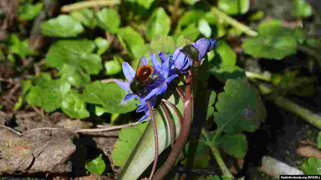 Хтось невпинно працював. 