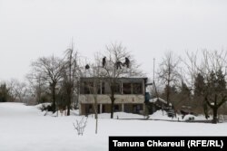 ოზურგეთისა და გარშემო სოფლის მოსახლეობა მთელი დღის განმავლობაში თოვლს წმენდს.