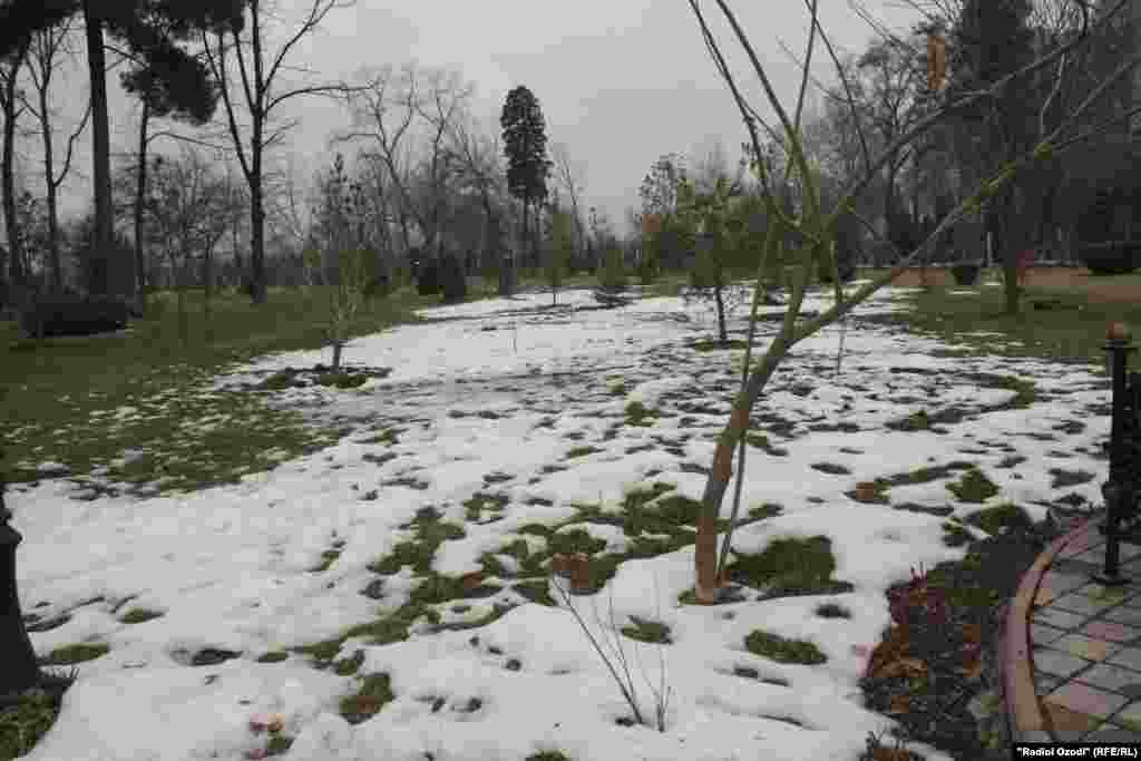 Осори барф дар Боғи Рӯдакии пойтахт