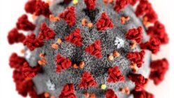 Proverite znanje: Možete li odgovoriti na pitanja o virusu korona?