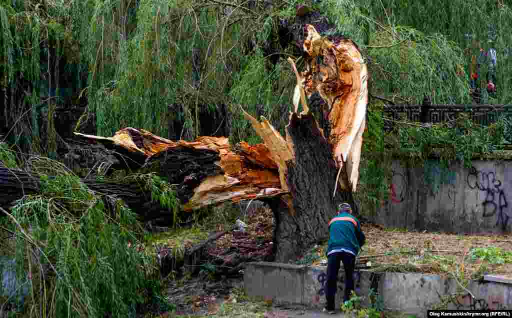 Последствия ночного шторма в Симферополе, 24 сентября 2014 года