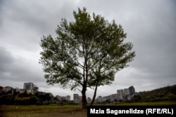 ძველი იპოდრომი