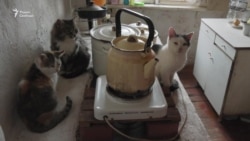 "Счастье — это душ, туалет и кухня с окошком" "Счастье — это душ, туалет и кухня с окошком"