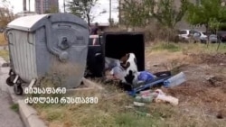 მიუსაფარი ძაღლები რუსთავის ქუჩებში