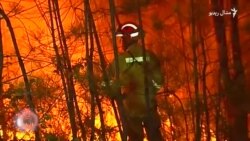 د اګست پینځمې ویډیويي خبرونه د اګست پینځمې ویډیويي خبرونه