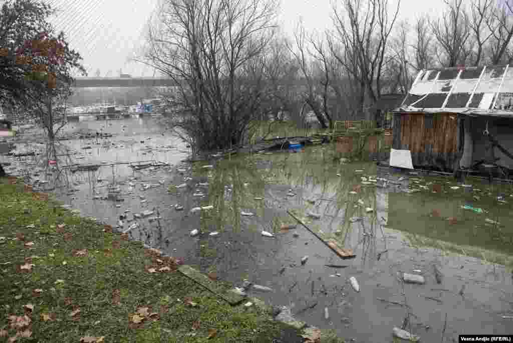 Reka Sava u blizini mosta na Adi. U okolini ovog dela priobalja veliki je broj splavova - privatnih i ugostiteljskih objekata.