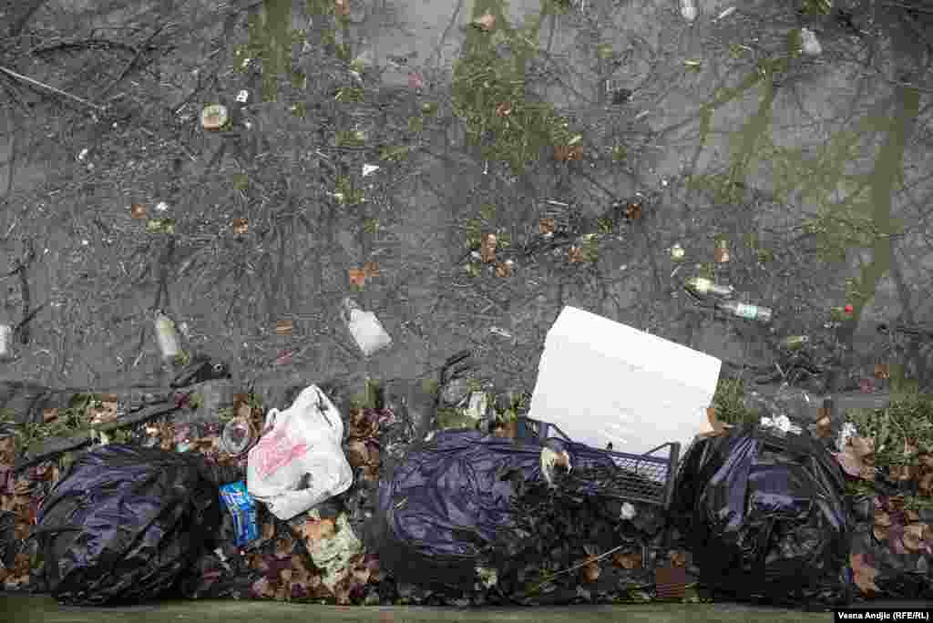 Kroz Beograd, Sava protiče u dužini od 30 km, uzvodno od Obrenovca do ušća. Ovako izgleda reka Sava u delu kod Novog mosta, posle Sajma. 