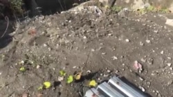 Шламовые амбары на территории 202-го куста Приобского месторождения Шламовые амбары на территории 202-го куста Приобского месторождения