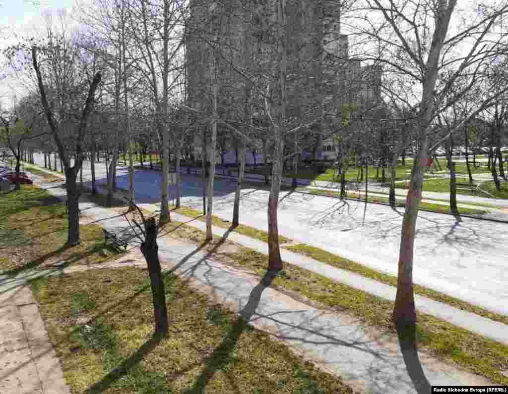 Bulevar Veljka Vlahovića, Zrenjanin. Jedna od najprometnijih ulica u ovom gradu danas je prazna. 