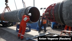 Участок "Северного потока – 2" под Кингисеппом, Ленинградская область