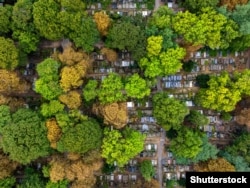 Старыя Павонзкі – гістарычныя могілкі ў цэнтры Варшавы. Выгляд зьверху
