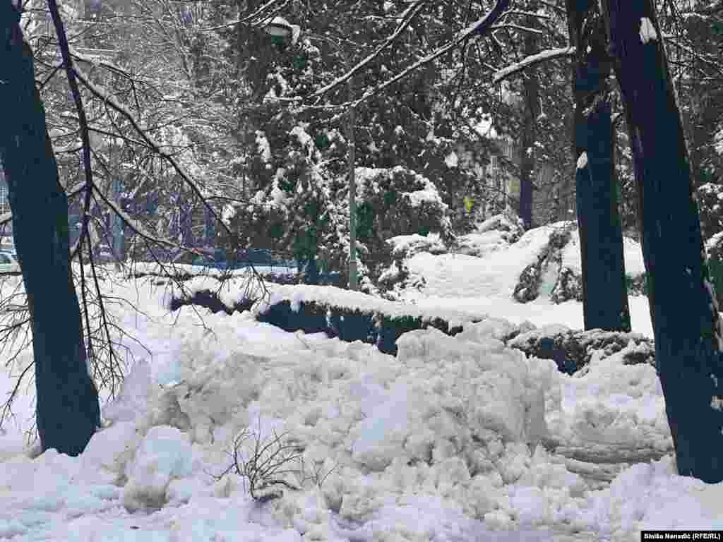 Mnogi dijelovi grada su zatrpani snijegom i palim stablima.