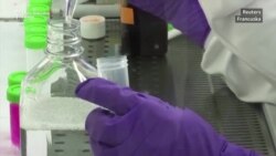 Vakcina za sve? Pojačani napori zemalja za pristup Vakcina za sve? Pojačani napori zemalja za pristup