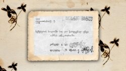 თბილისის სახელმწიფო უნივერსიტეტის სიბრძნისმეტყველების ფაკულტეტზე მარო მაყაშვილის შესასვლელი ბილეთი. 1920 წელი. ქართული ლიტერატურის სახელმწიფო მუზეუმი