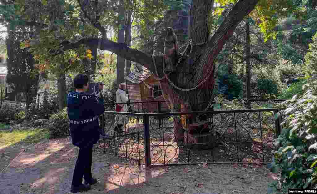 С недавних пор бывший военный санаторий «Гурзуфский» функционирует как филиал российского федерального Детского медицинского центра. Однако на его территории маленьких пациентов что-то не было видно