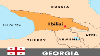 Georgian Privatization Plan Falls Short