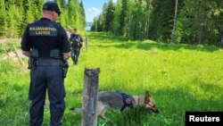 Finski graničari i njihov pas Nita patroliraju finsko-ruskom granicom koju obilježava uska čistina u šumi u blizini sela Hoilola, u istočnoj Finskoj, 5. juna 2024.