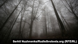 30 листопада вдень пануватиме мінлива хмарність, без опадів
