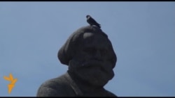 Пираты против закона о цензуре в Интернете: нас предали Пираты против закона о цензуре в Интернете: нас предали