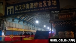 Mokre pijace - kolevka korona virusa